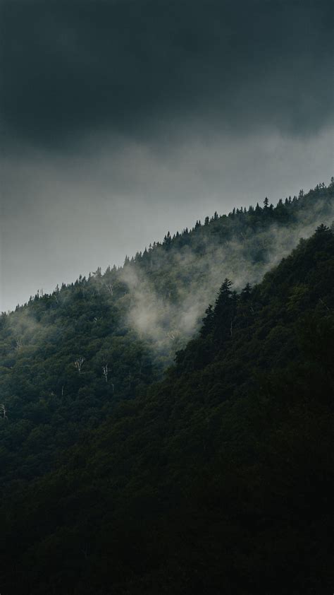 Download Wallpaper 2160x3840 Mountain Slope Forest Clouds Fog Mist