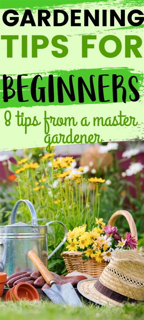 Gardening For Absolute Beginners Top Tips For Gardening Success 2023 Gardening For