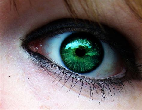 Perfect Green Eye Gimp Chat