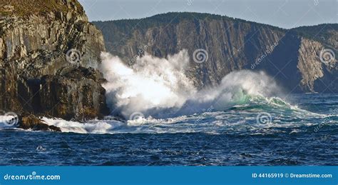 Waves Hitting Cliffs In Newfoundland Stock Image Image Of Spray
