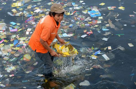 Ocean Pollution Even Sea Creatures In The Deepest Darkest Trenches