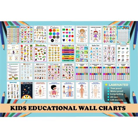 Laminated Kidstoddler Educational Materialsminimalist Learning Wall