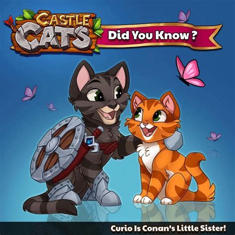 Castle Cats Warrior Cats Cat Character Pets Cats