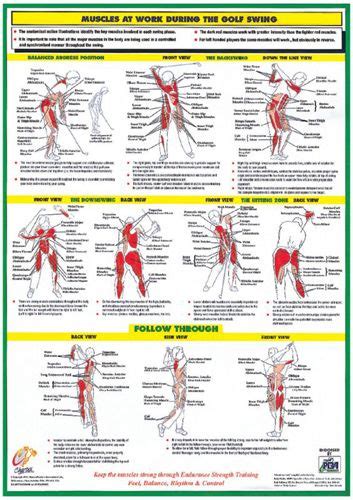 Fitness For Golf Official 2 Poster Set Stretching And Muscle Work