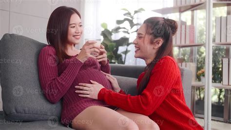 Happy Pregnant Lesbian Couple Spending Time Together At Home 11556510