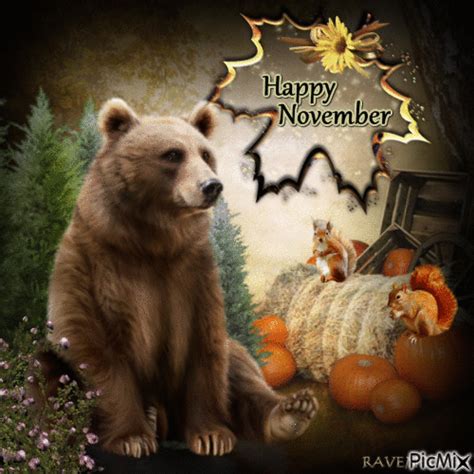 Grizzly Bear Happy November  Pictures Photos And Images For