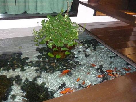 Modern Goldfish Ponds Backyard Goldfish Ponds Landscaping And