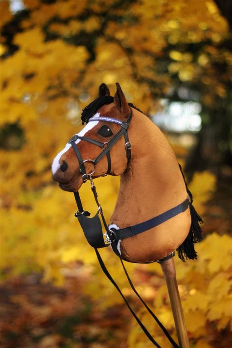 Chestnut Horse With Tack Hobby Horse Chestnut Horse Horses