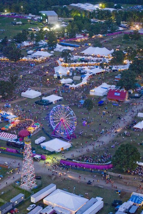 23 Reasons You Should Finally Go To Bonnaroo This Year Bonnaroo Bonnaroo Festival Festival