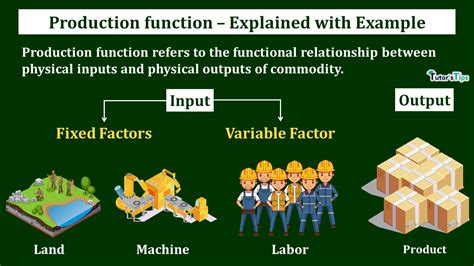 Production Function Meaning And Types Tutors Tips