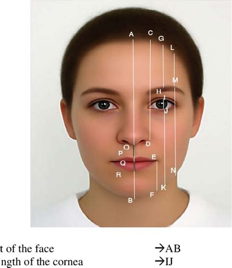 Figure 1 From Matching Facial Images Using Age Related Morphing Changes