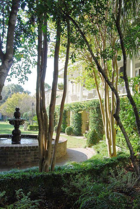 110 Charleston Gardens And Courtyards Ideas Charleston Gardens