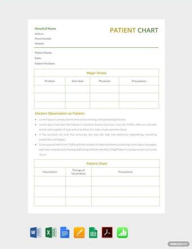 14 Patient Chart Templates In Word Excel Apple Numbers Apple