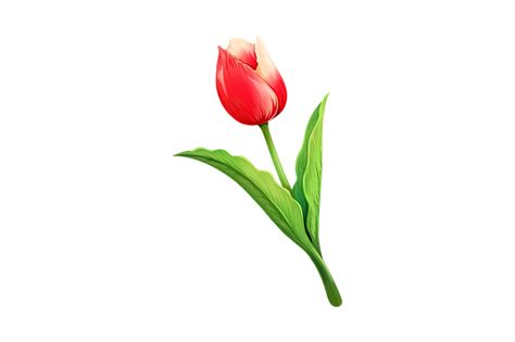 Are you searching for magic png images or vector? 튤립 꽃 자연의 · Pixabay의 무료 이미지