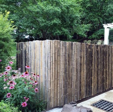 43 Innovative Bamboo Fence Ideas For You Backyard In 2023 0eb