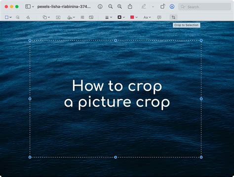 How To Crop A Picture On Mac In 2023