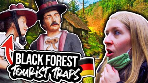 Americans Find Out German Black Forest Isn‘t What You‘d Expect Youtube