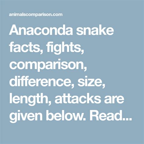 Anaconda Snake Facts Fights Comparison Difference Size Length