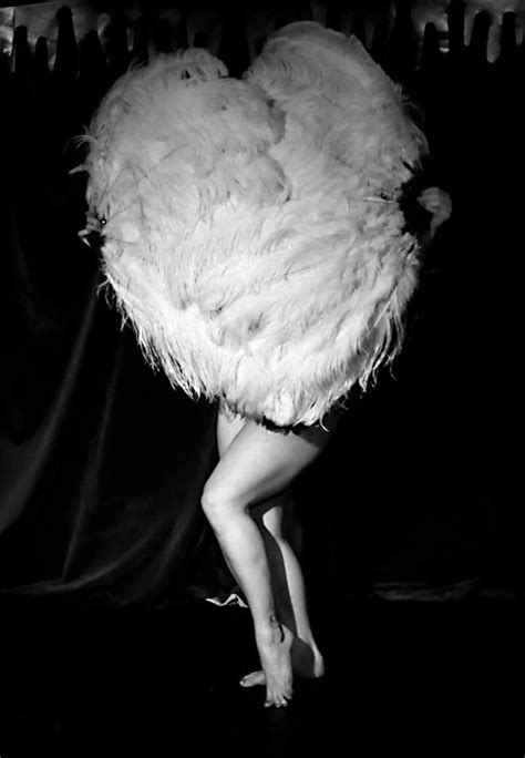 17 Best Images About Burlesque Fans And Fan Dance On Pinterest Peacocks