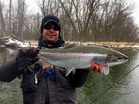 Manistee River Fishing Report January 2017 Coastal Angler And The