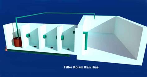Sebelum memulai membuat filter, saya mencari tahu bagaimana proses proses apa saja yang terjadi dalam aquarium. Membuat Sendiri Filter Kolam Ikan Hias | Desain Rumah ...