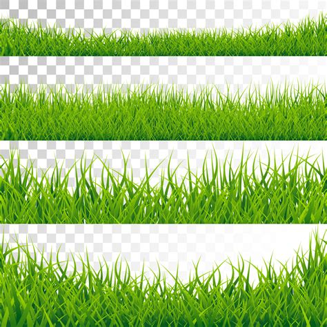 Green Grass Borders Set Vector Illustration On Transparent