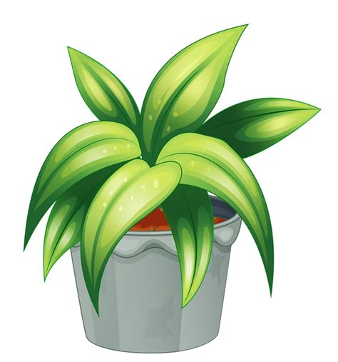 Plant Clip Art Png Transparent Png Full Size Clipart 5814936 Images