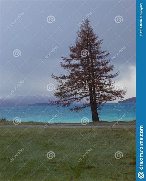 Lake Pukaki Stock Photo Image Of Rain Water Edge 251148332