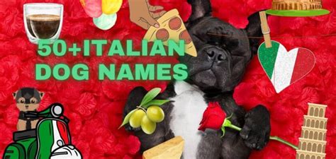 Italian Dog Names Petstime