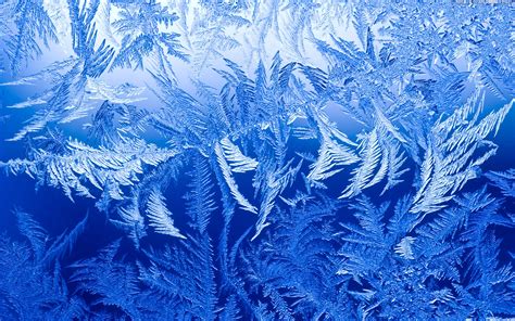 Ice Winter Wallpaper Hd 8848 Wallpaper Walldiskpaper