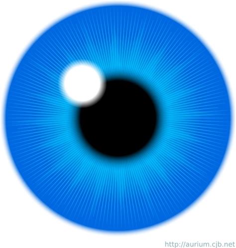 Blue Eye Iris Clip Art Free Vector In Open Office Drawing Svg Svg