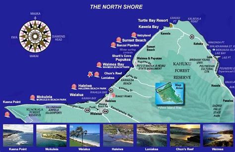 Surfing The North Shore Of Oahu Everything You Need To Know Surf Guides North Shore Oahu