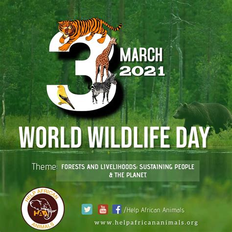 Happy World Wildlife Day Help African Animals