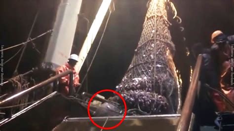 When These Fishermen Landed A Giant Catch They Found An Unforeseen