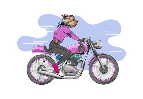 Dog Riding A Motorcycle Stock Illustration Illustration Of Drive