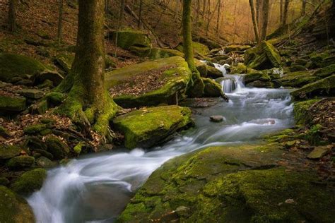 April In Ozark National Forest Captured This Shot On A Long Weekend