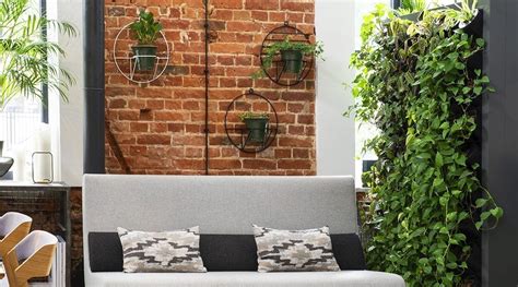 Create A Vertical Green Wall With Houseplants Platt Hill Nursery
