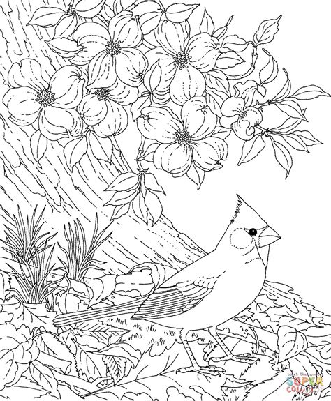 Birds And Flowers Coloring Pages Coloring Home