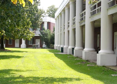 Tangipahoa Parish, LA News | Stacker