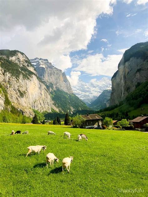The Natural Beauty Of Switzerland Travel Nature Pictures