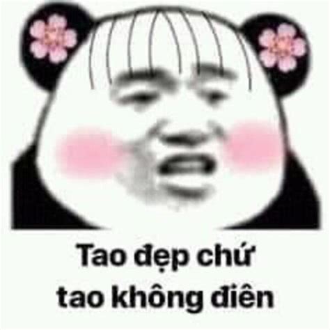 Các Hình Ảnh Meme Gấu Trúc Weibo Bựa Troll Hài Hước 2023