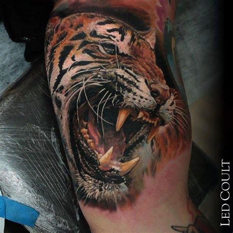 58 Free Tiger Tattoo Inner Bicep Vector Ta Tt O