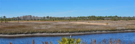 St Marks National Wildlife Refuge Florida Hikes