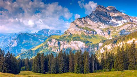 200 Braunwald Photos Stock Photos Pictures And Royalty Free Images Istock
