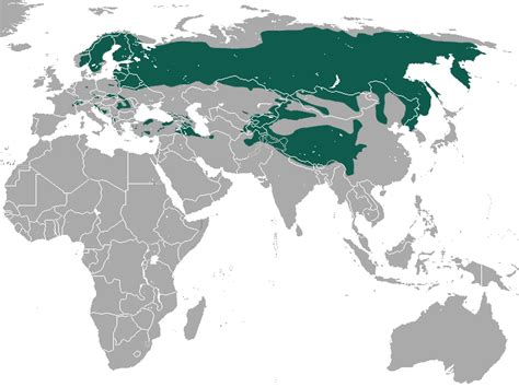 Abes Animals Range Maps Of All 4 Different Lynx Species
