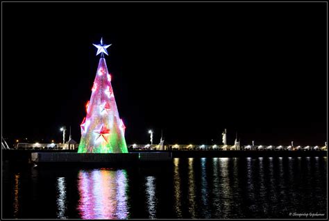 Geelong Floating Christmas Tree Geelongchristmas Shivapratap