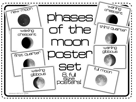 Ms Lemmon Phases Of The Moon Posters
