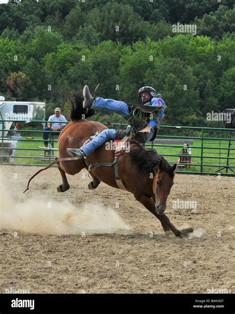Man Falling Off Bucking Horse At Rodeo Stock Photo Alamy
