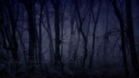 49 Dark Scary Forest Wallpaper