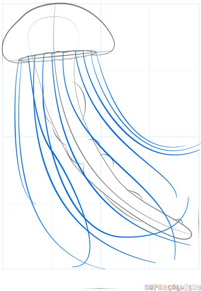 Cómo Dibujar Una Medusa Para